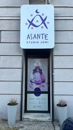 Asante Studio Jogi